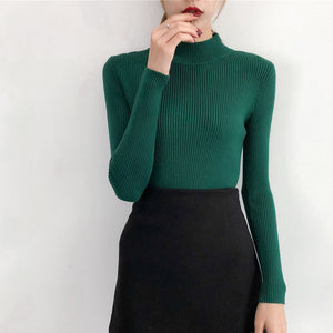 Red Beige Khaki Coffee Green Gray Black Brown Slim Turtleneck Sweater for Women Basic Pullovers Lady's Sweater Female Jumper